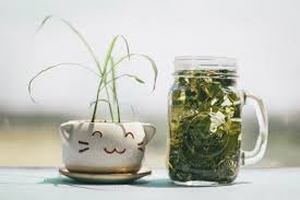 The Benefits of Green Tea